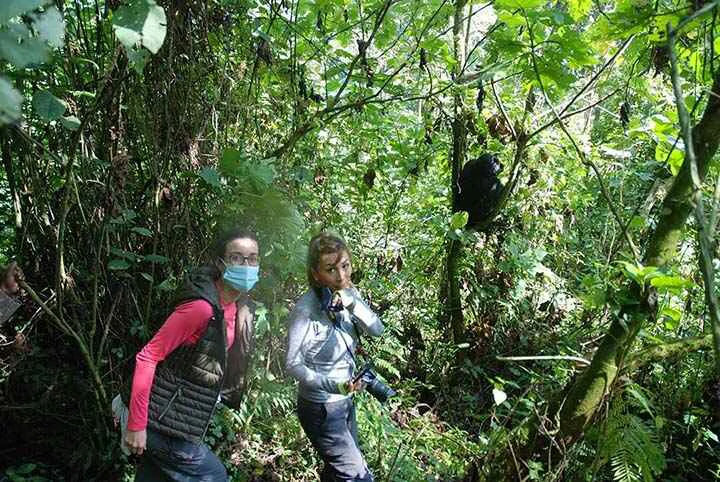 guests in bwindi